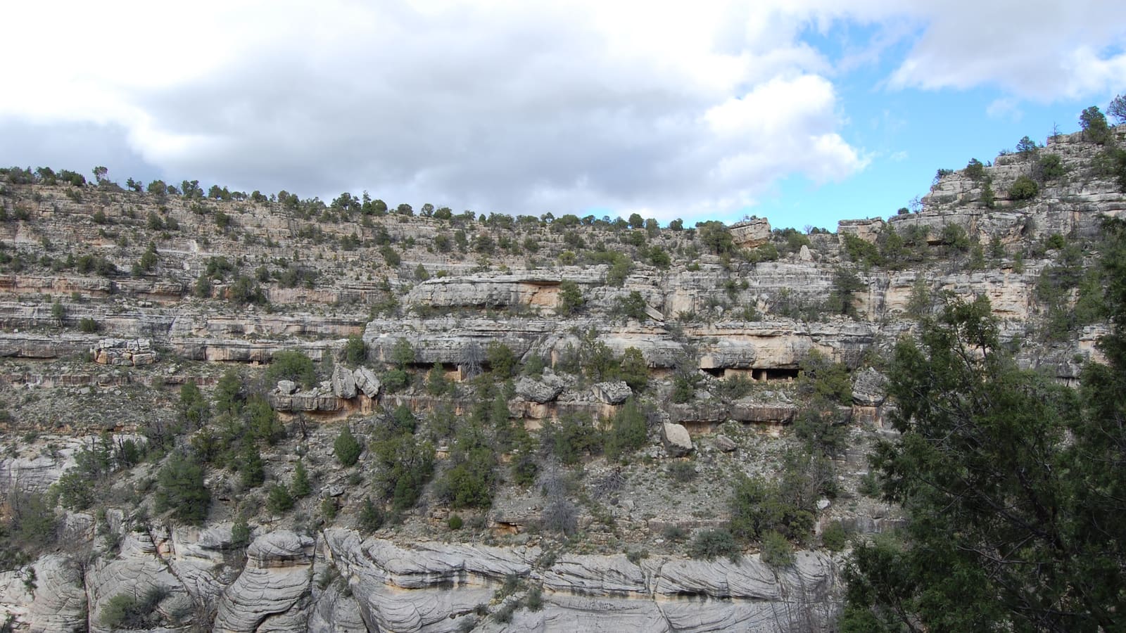 Cliff dwellings built into the layered limestone walls of Walnut Canyon National Monument near Flagstaff
