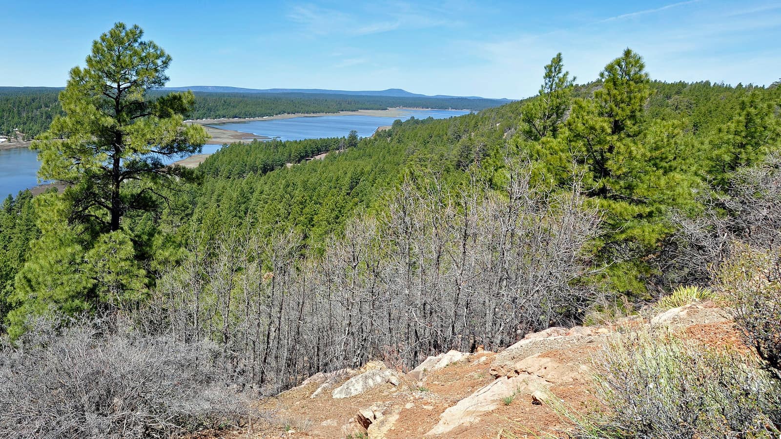 A wide view across Lower Lake Mary from the Marshall Lake road near Flagstaff