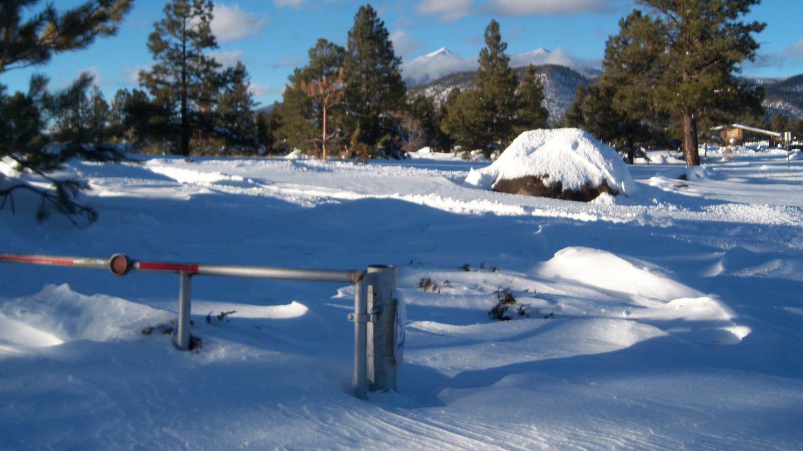 Snow across the open meadow of Buffalo Park in Flagstaff with forest beyond