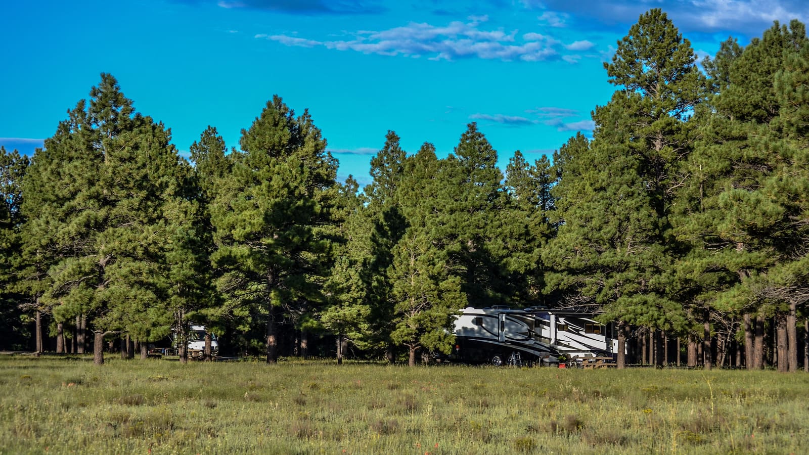 Pine Grove Campground in the ponderosa pines of Coconino National Forest near Flagstaff