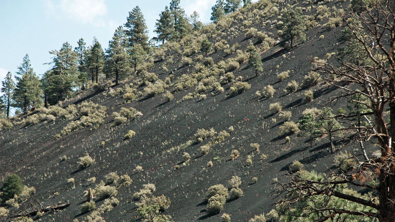 The cinder cone at Sunset Crater Volcano National Monument near Flagstaff