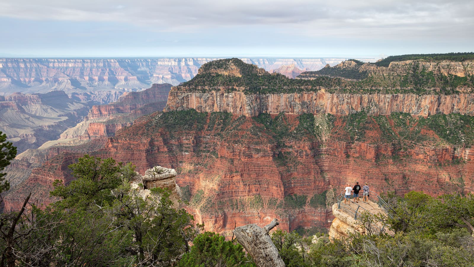 The Grand Canyon viewed from Bright Angel Point on the North Rim
