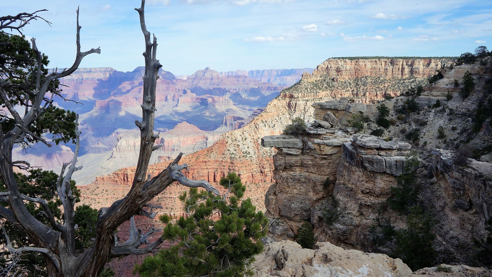 A panorama of the Grand Canyon from Grandview Point on the South Rim