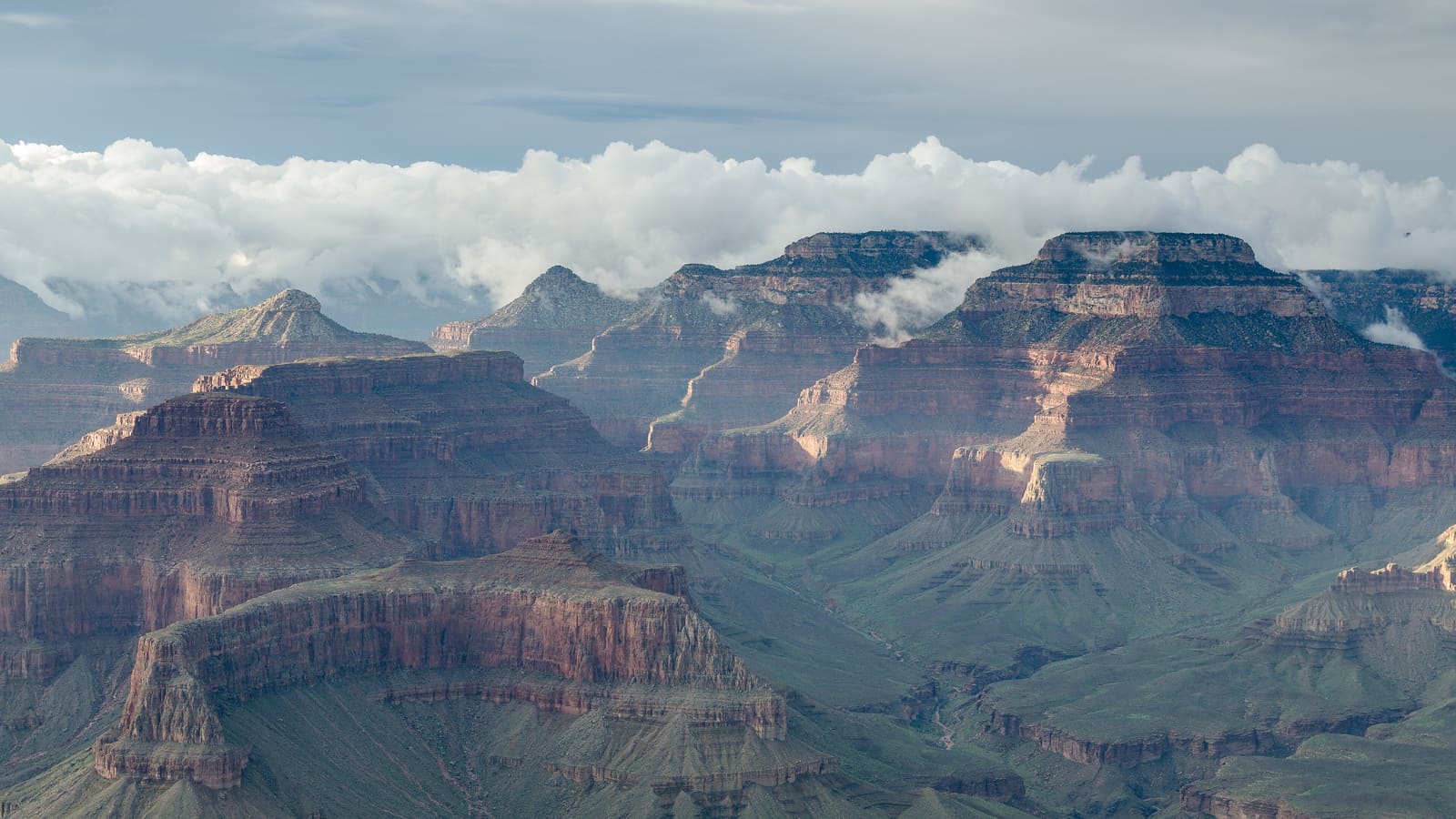 Warm evening light on the Grand Canyon from Hopi Point