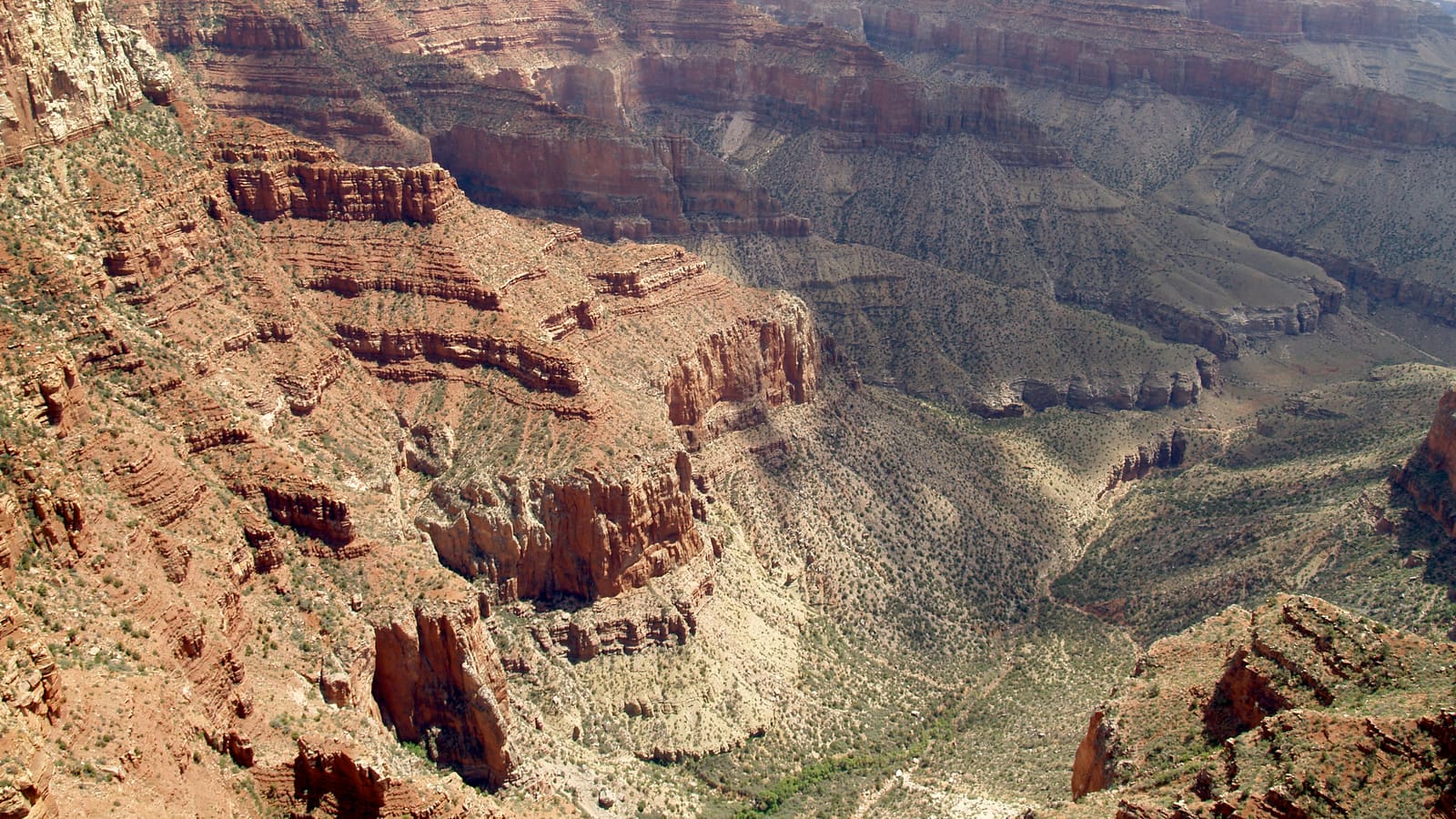 The view from Cape Royal on the Grand Canyon's North Rim