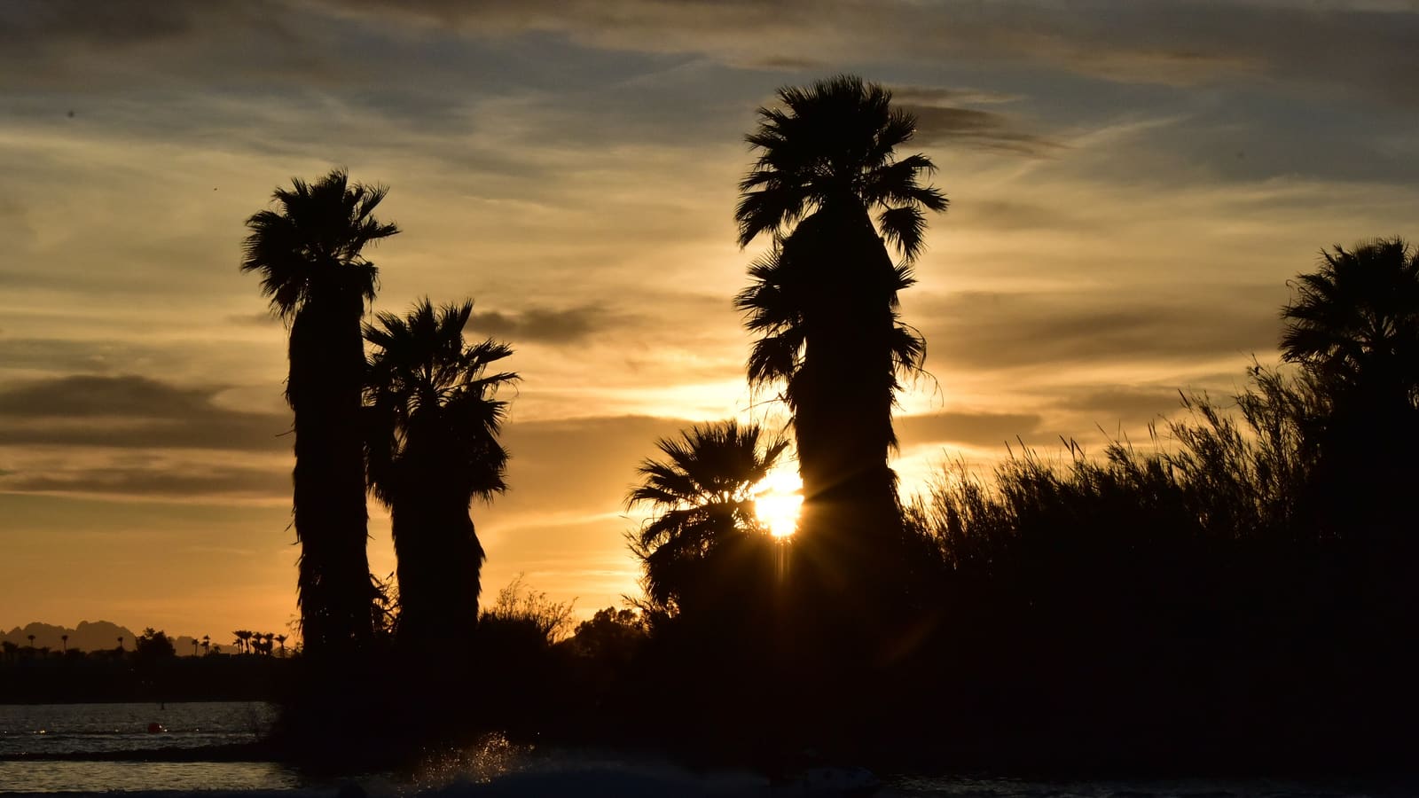 The shoreline of Lake Havasu backed by desert mountains in western Arizona