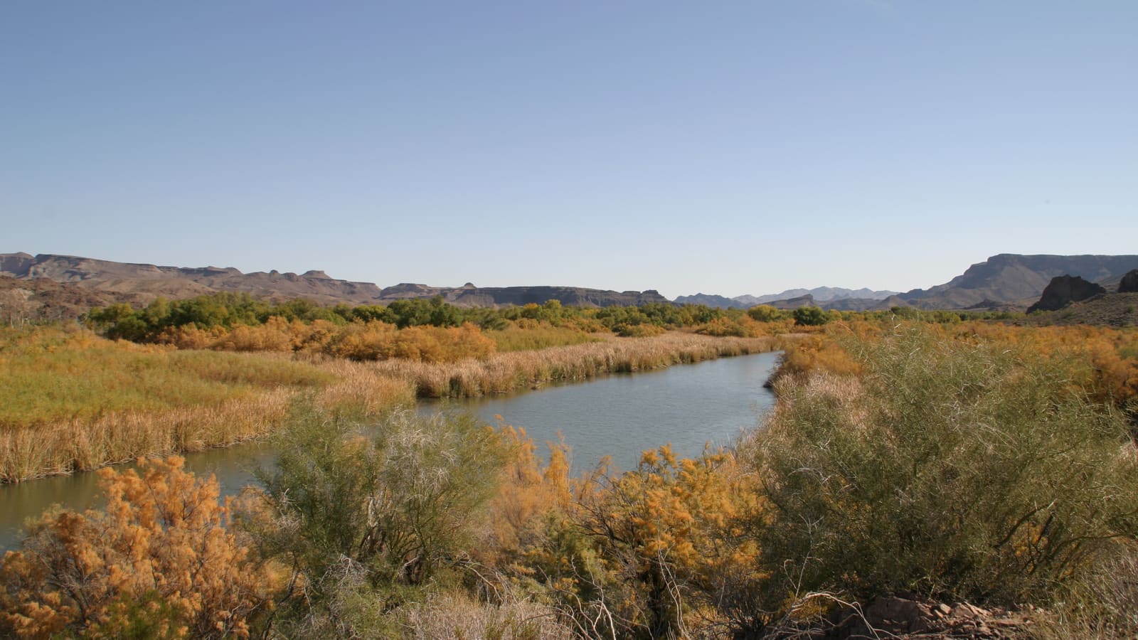 The Bill Williams River winding through reeds and tamarisk below desert hills in western Arizona