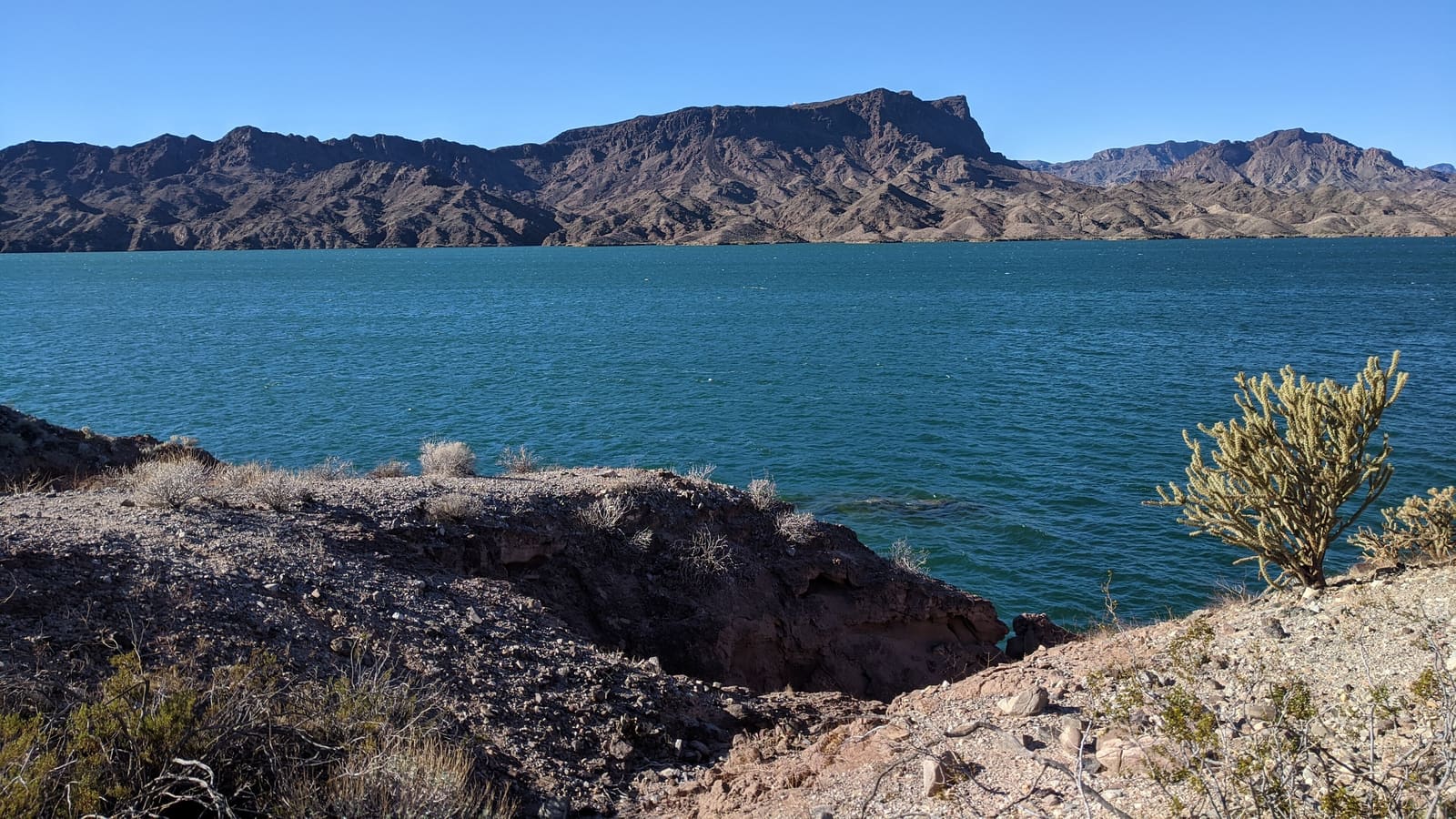 Lake Havasu seen from the shore at Cattail Cove State Park in Arizona, with desert mountains across the water
