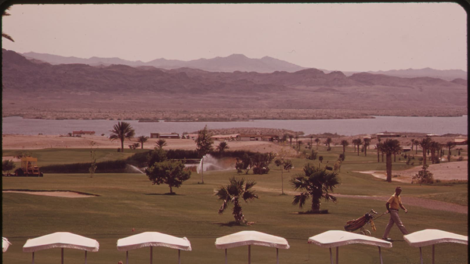 A lakeside golf course at Lake Havasu City, Arizona