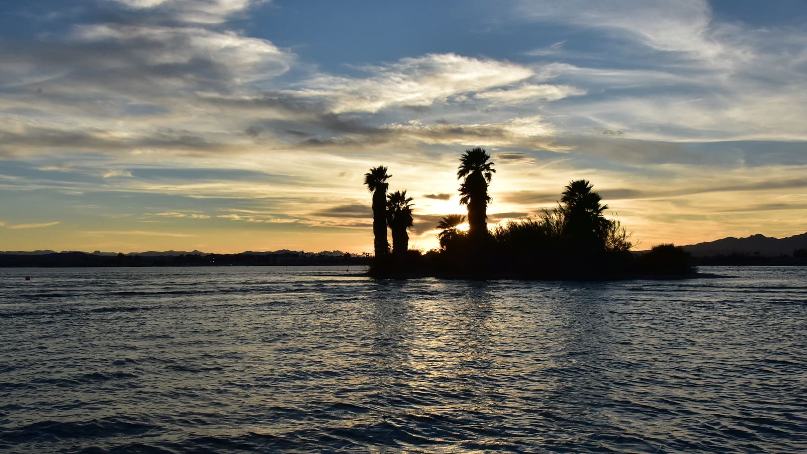 Silhouetted palm trees on a small island at sunset on Lake Havasu