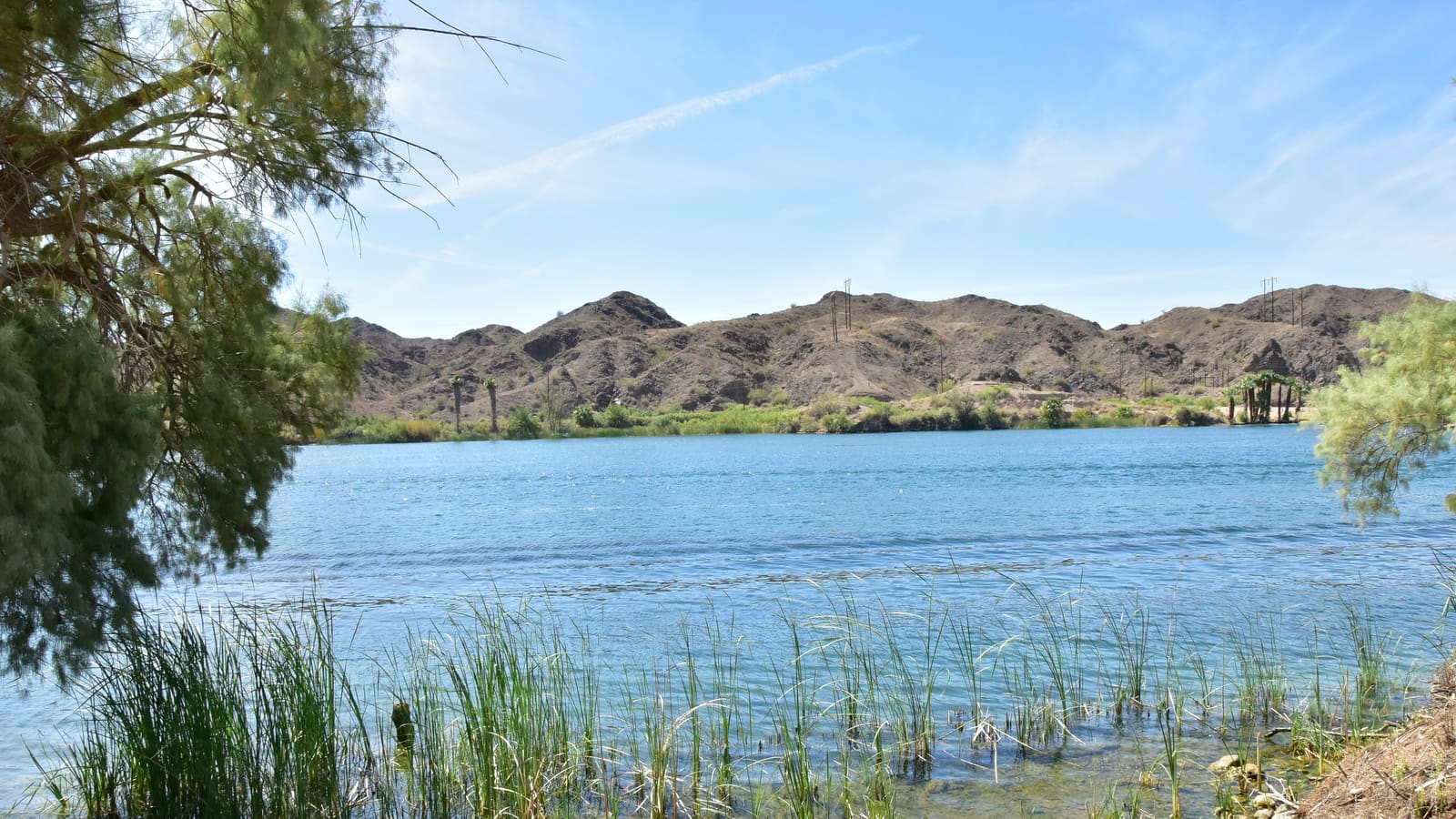 A Colorado River campground near Lake Havasu popular with winter visitors