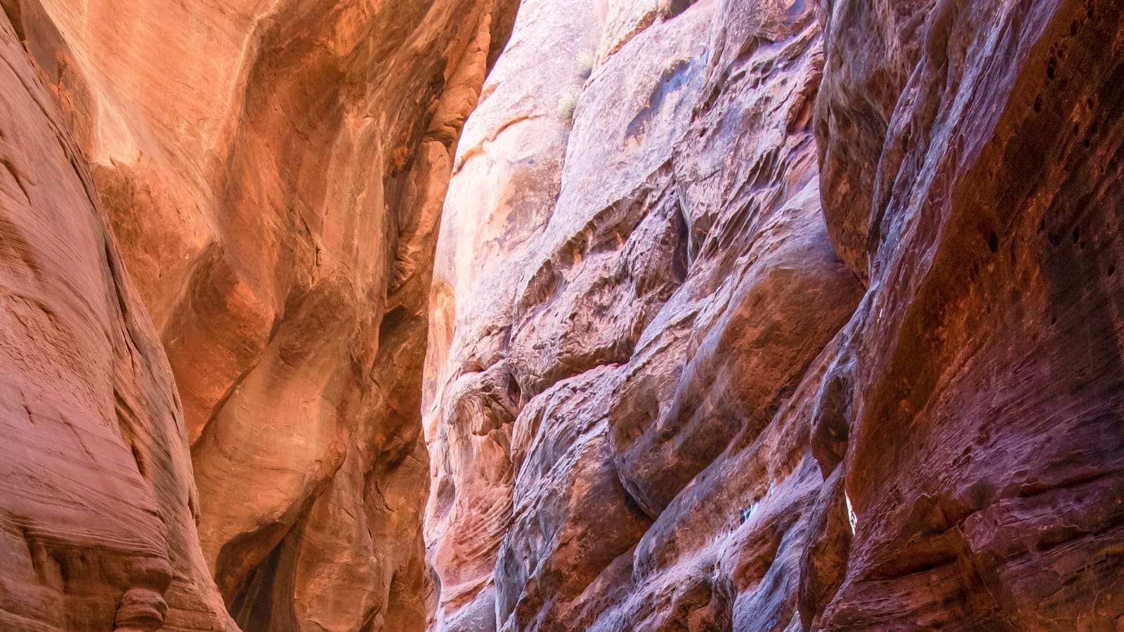 Towering striped sandstone walls rise on either side of the narrow Buckskin Gulch slot canyon trail in the Lake Powell and Page, Arizona region