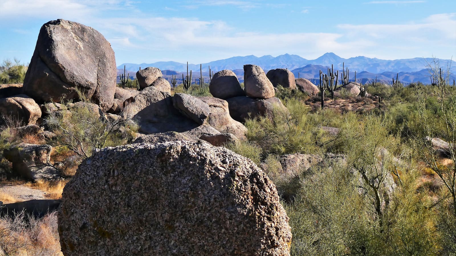 Desert landscape in the McDowell Sonoran Preserve near Scottsdale, Arizona