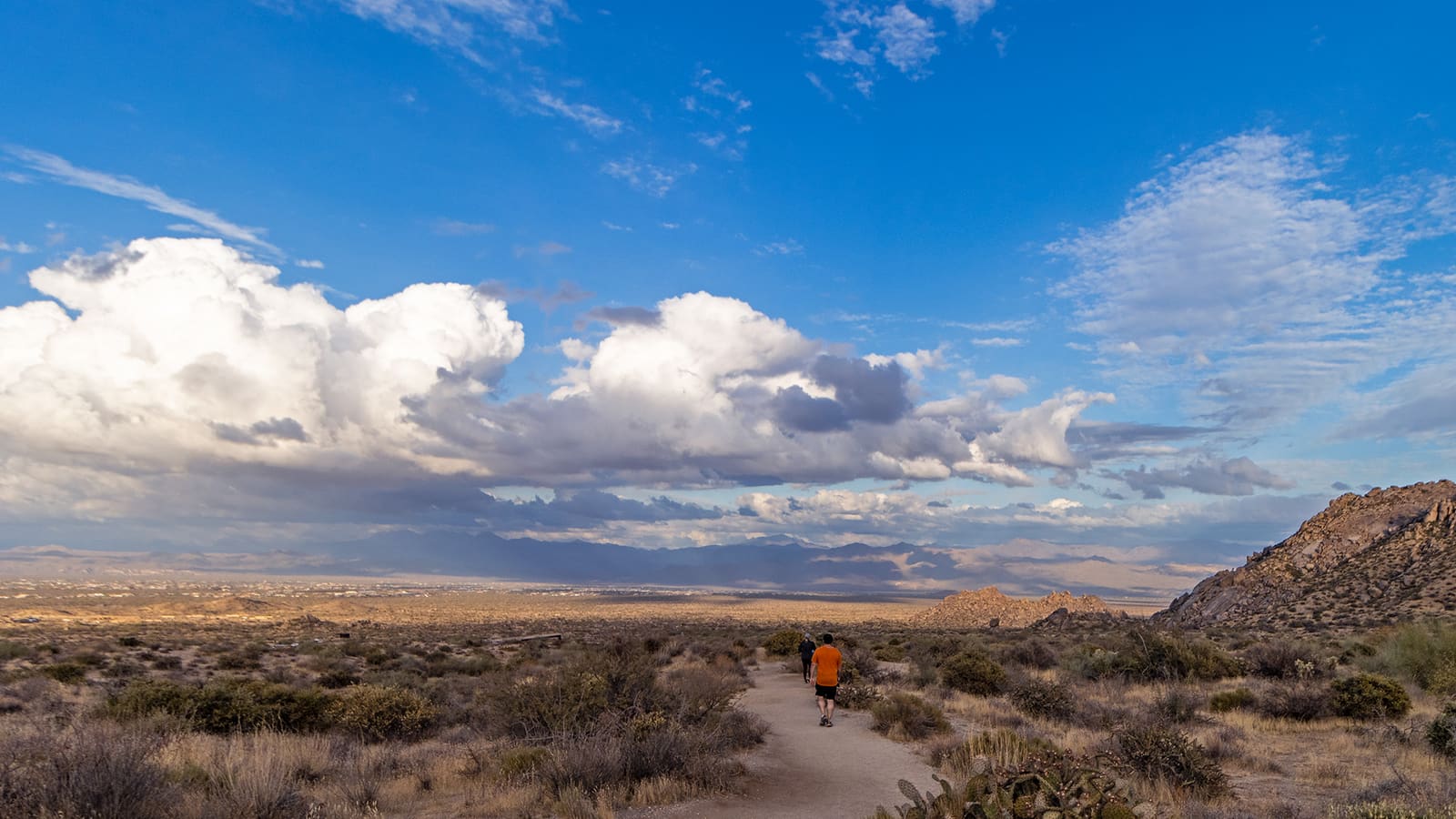 Hikers on a desert trail in Scottsdale, Arizona
