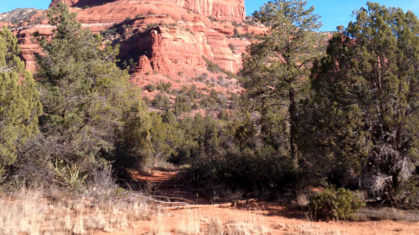 Boynton Canyon, one of Sedona's major energy-vortex sites