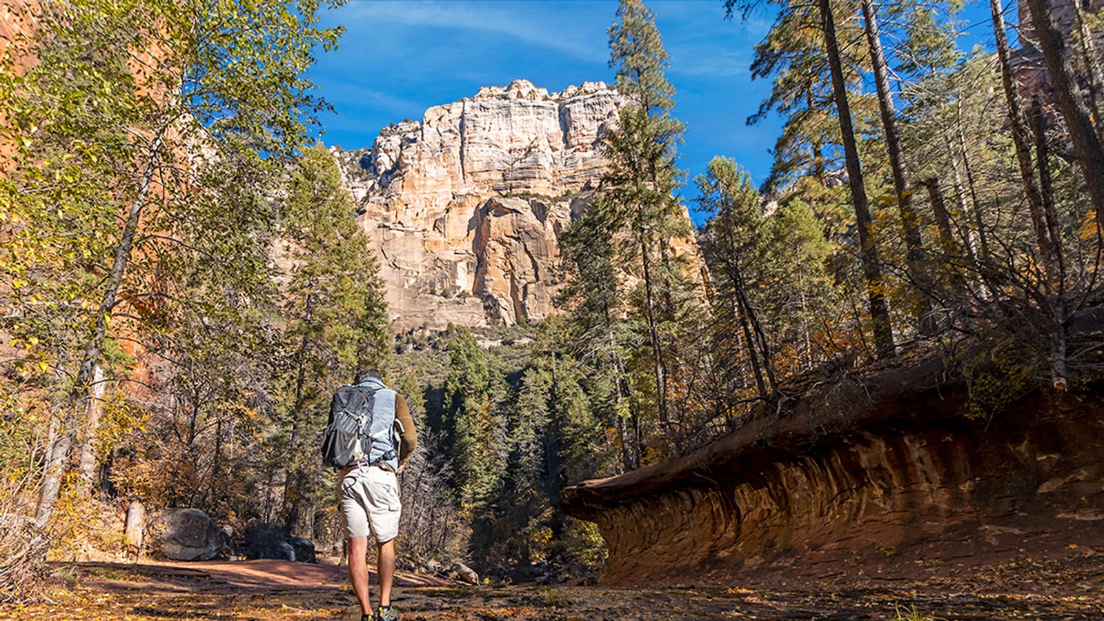 A hiker on the West Fork Trail in Sedona, Arizona, a popular leashed-dog-friendly trail