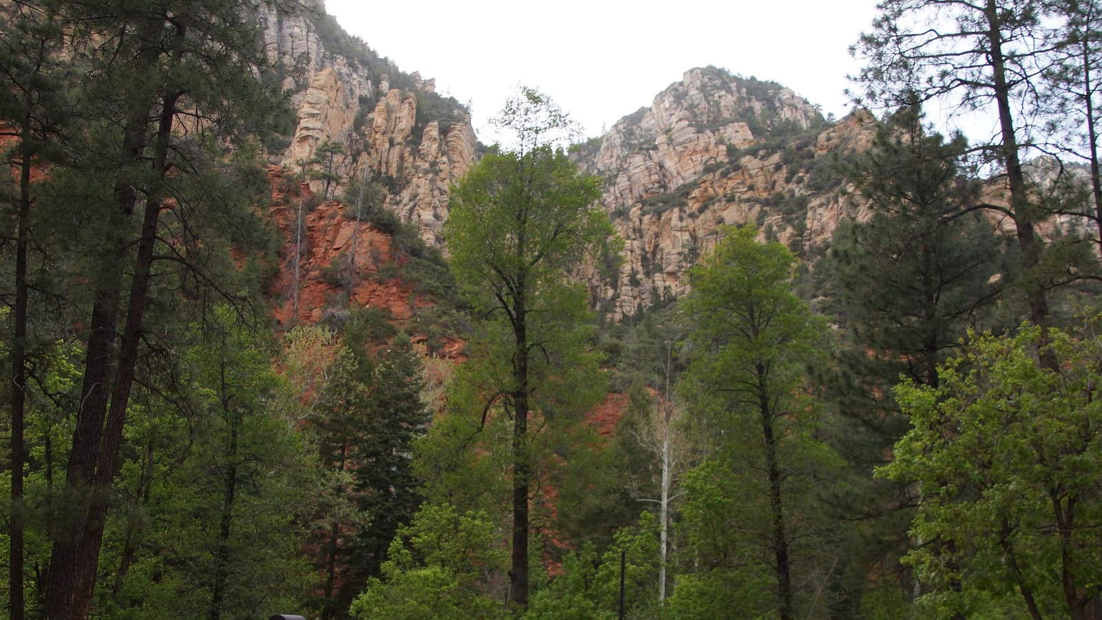 A campsite at Pine Flat Campground in Oak Creek Canyon near Sedona