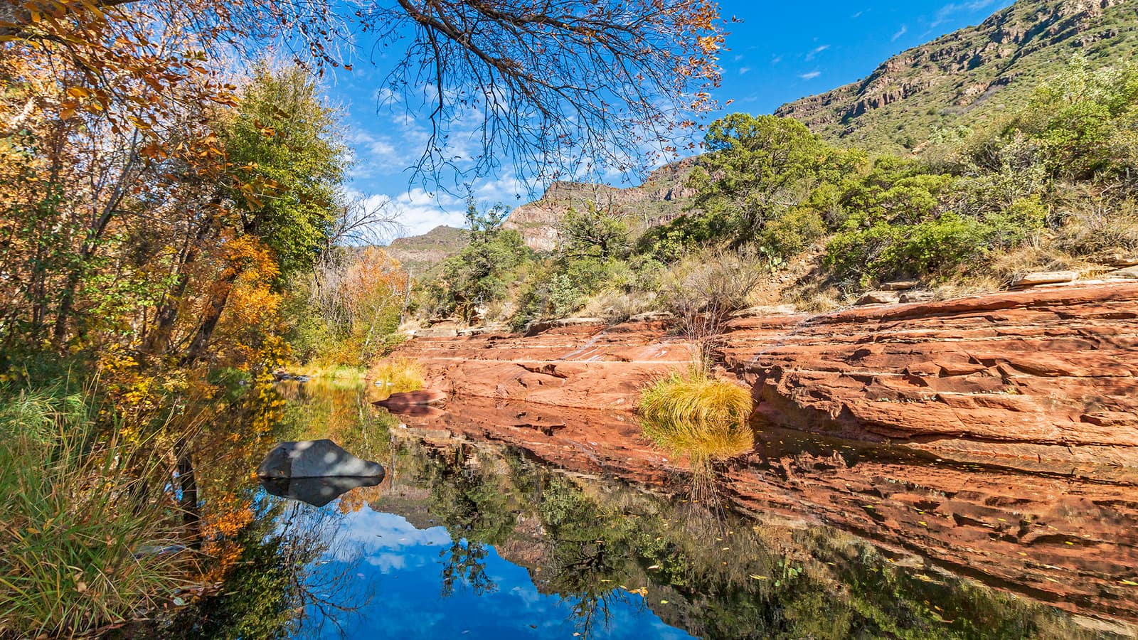 Fall foliage along Oak Creek in Sedona, Arizona