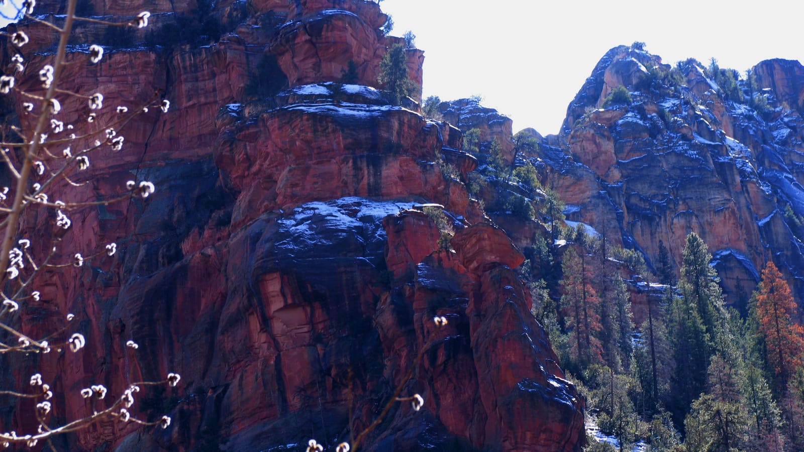 Snow-covered Oak Creek Canyon near Sedona, Arizona