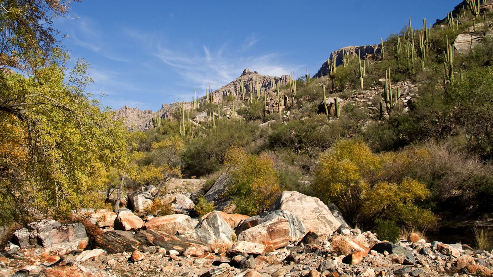 Thimble Peak vista from a hiking trail in Sabino Canyon, Santa Catalina Mountains, Tucson