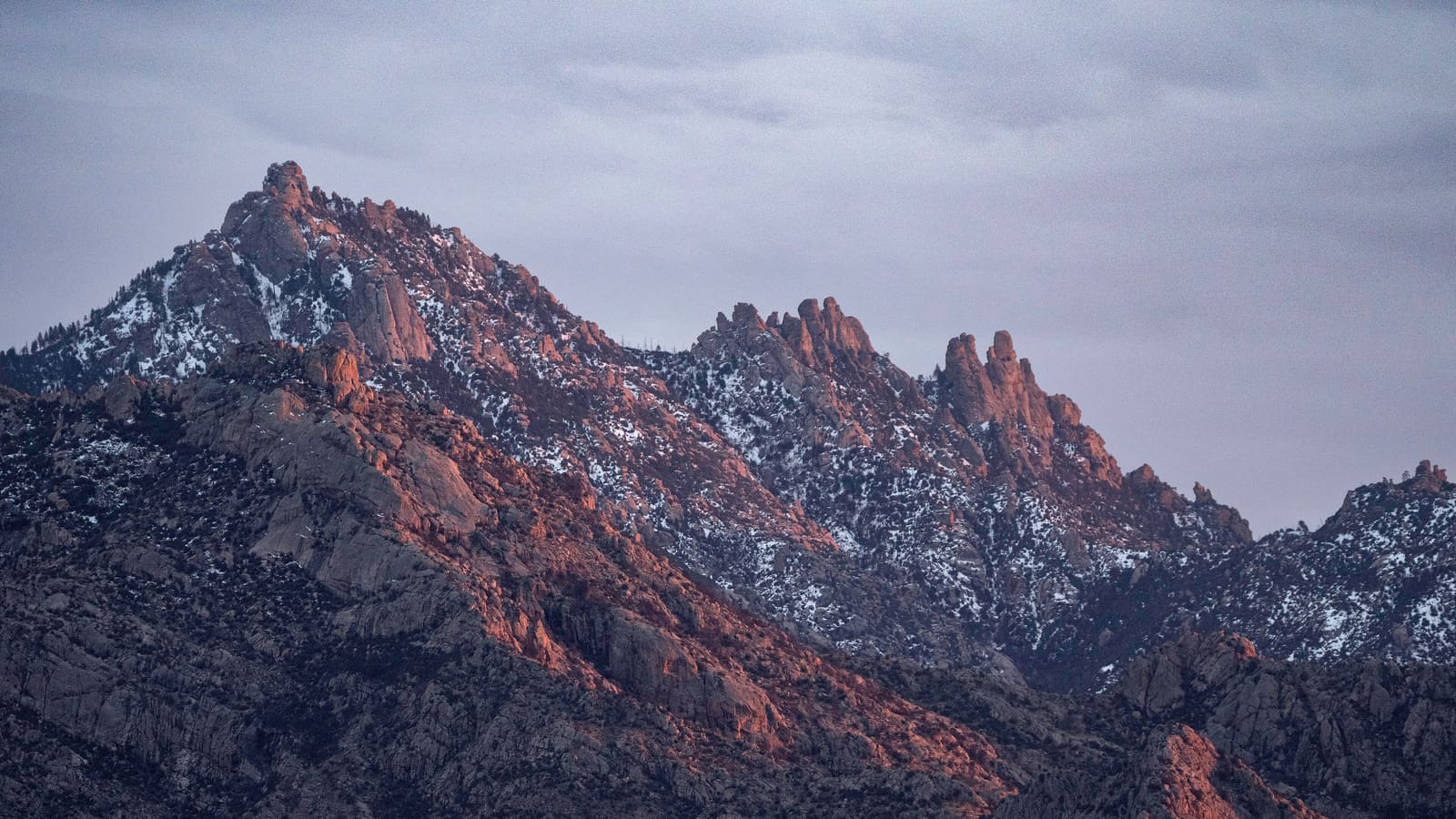 The Santa Catalina Mountains rising above the Tucson desert landscape