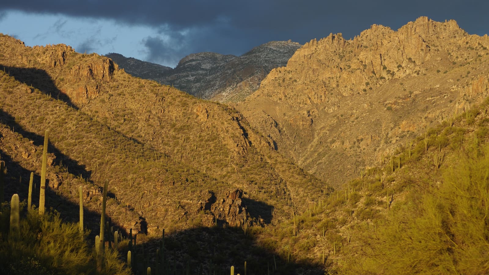 Sunset light over the desert canyon walls of Sabino Canyon, Tucson, Arizona