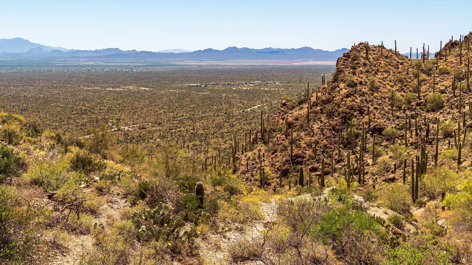 Saguaro-studded desert overlook at Gates Pass west of Tucson, a well-known sunset photography spot