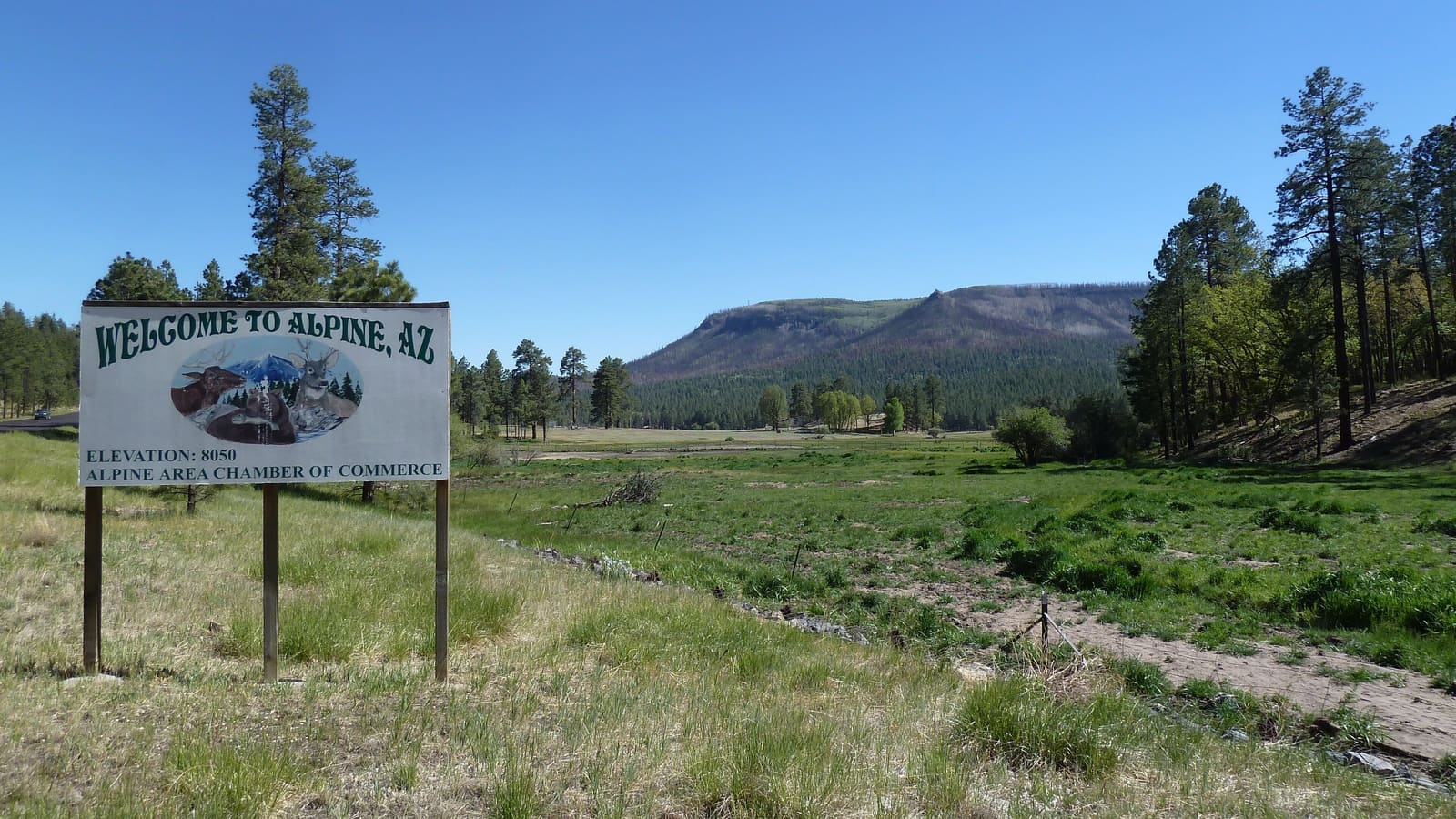 The welcome sign for the town of Alpine, Arizona, in the Apache-Sitgreaves National Forest