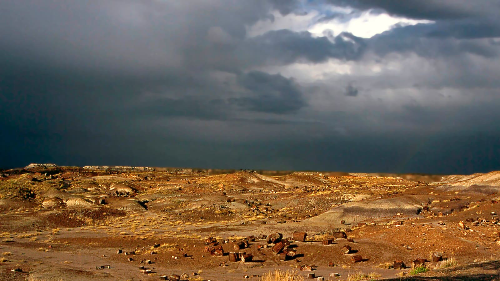 Painted Desert badlands scenery at Petrified Forest National Park, Arizona, a common day trip from the White Mountains