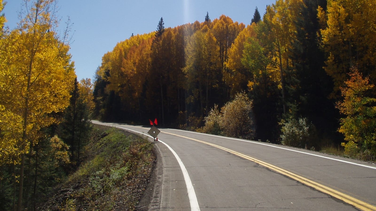 Autumn gold along the Coronado Trail Scenic Byway in Arizona's White Mountains