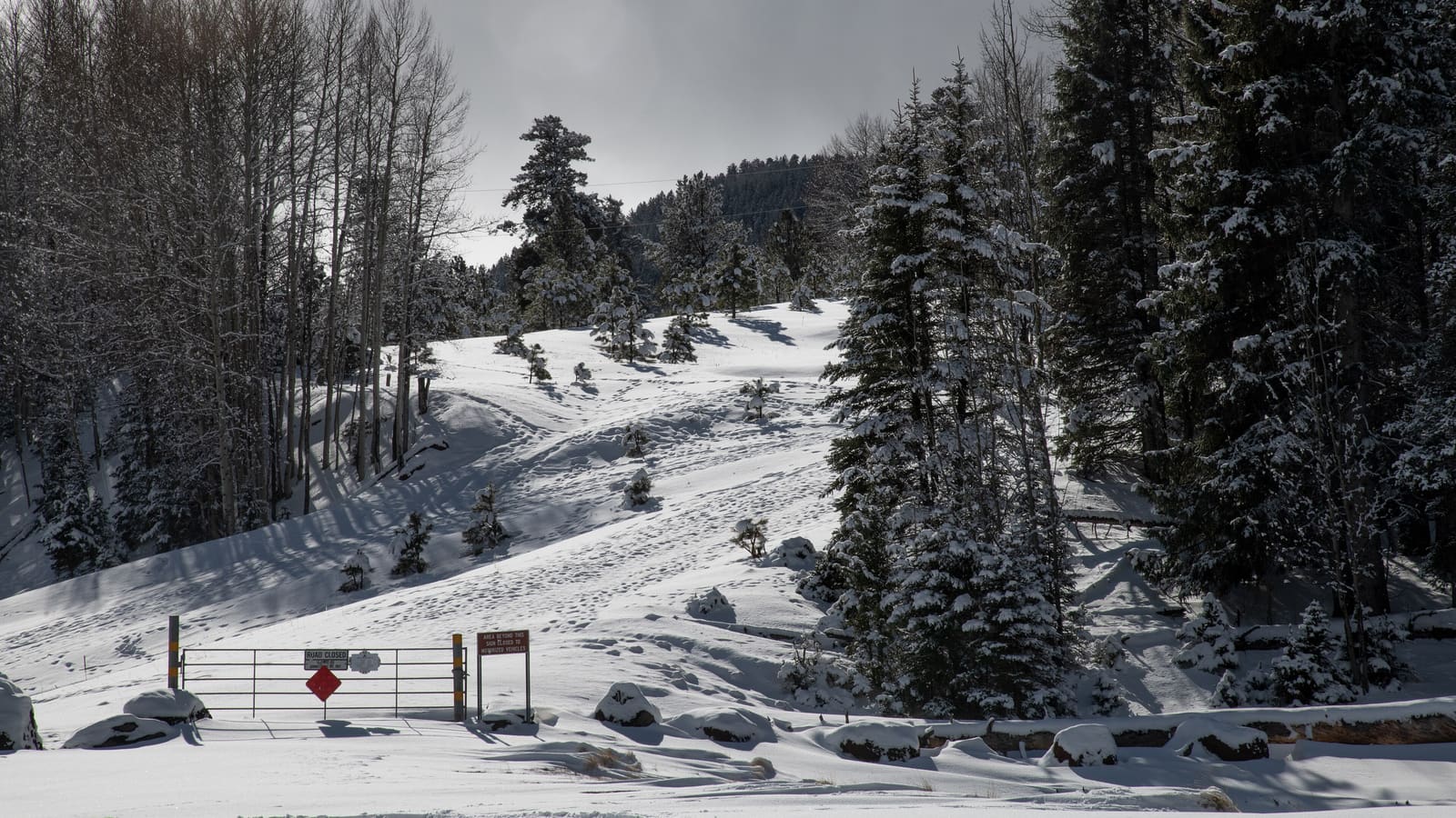 The Railroad Grade Trail through the Apache-Sitgreaves National Forest near Eagar, Arizona