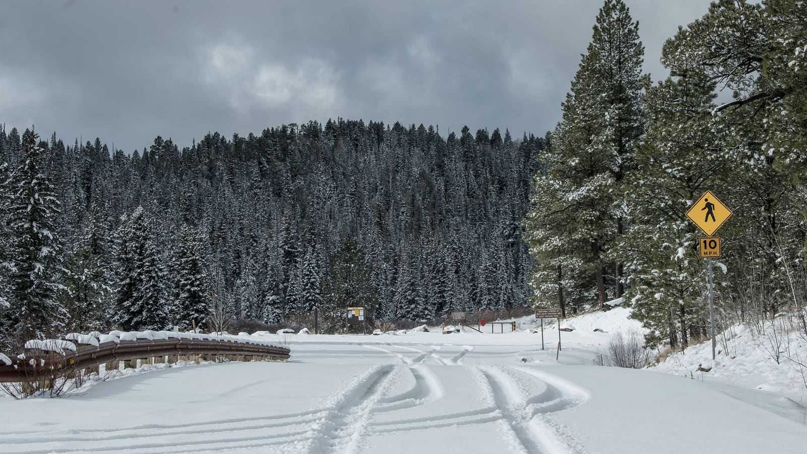 Forest trails near Big Lake in the Apache-Sitgreaves National Forest, a White Mountains riding area