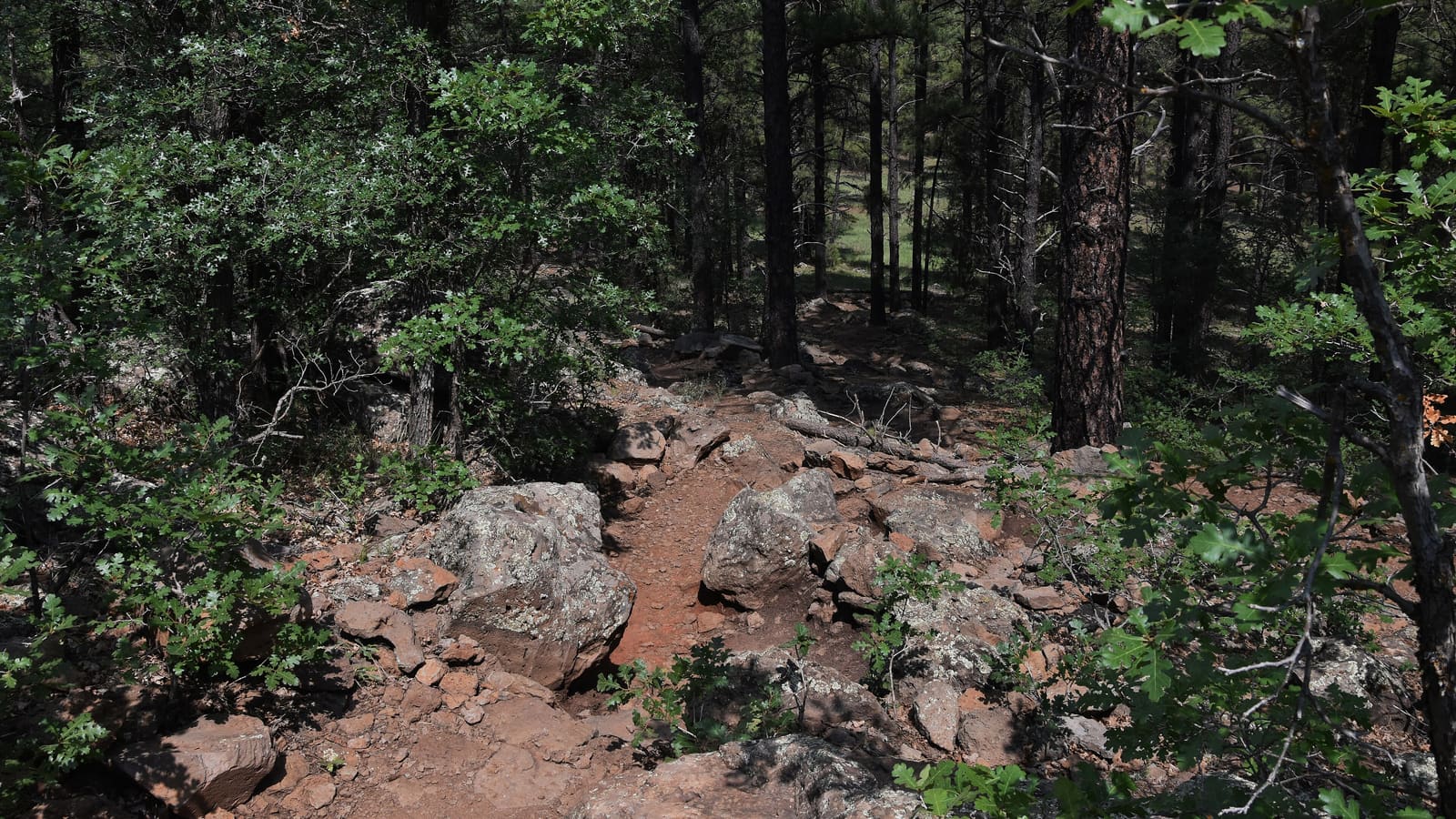 The Sycamore Rim Trail near Sycamore Falls in the Williams Ranger District of the Kaibab National Forest