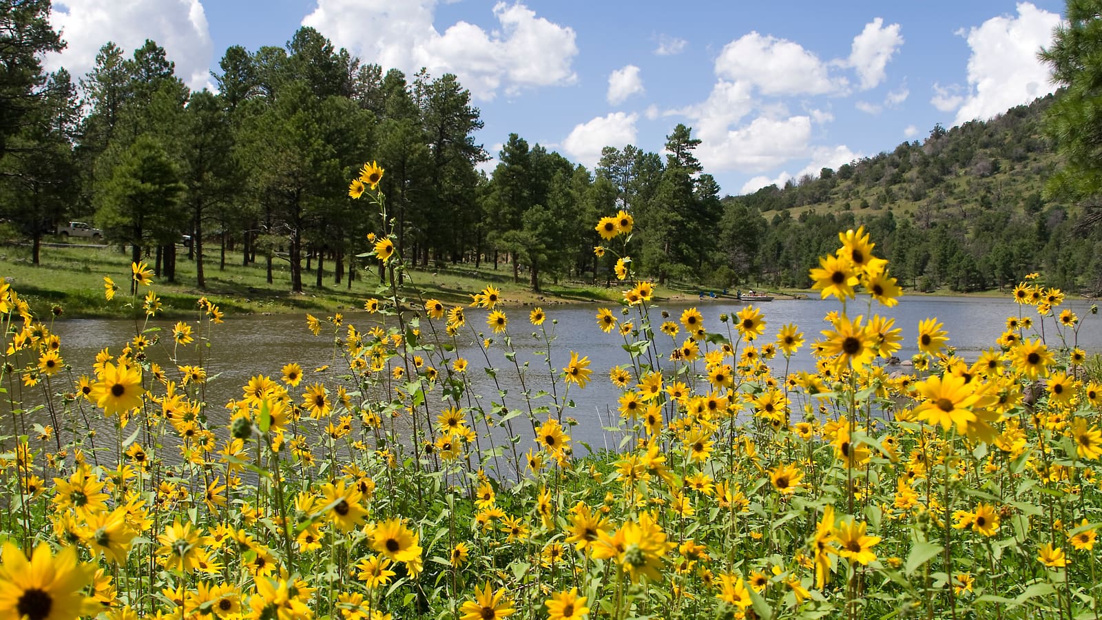 Kaibab Lake in the Williams Ranger District of Kaibab National Forest near Williams, Arizona