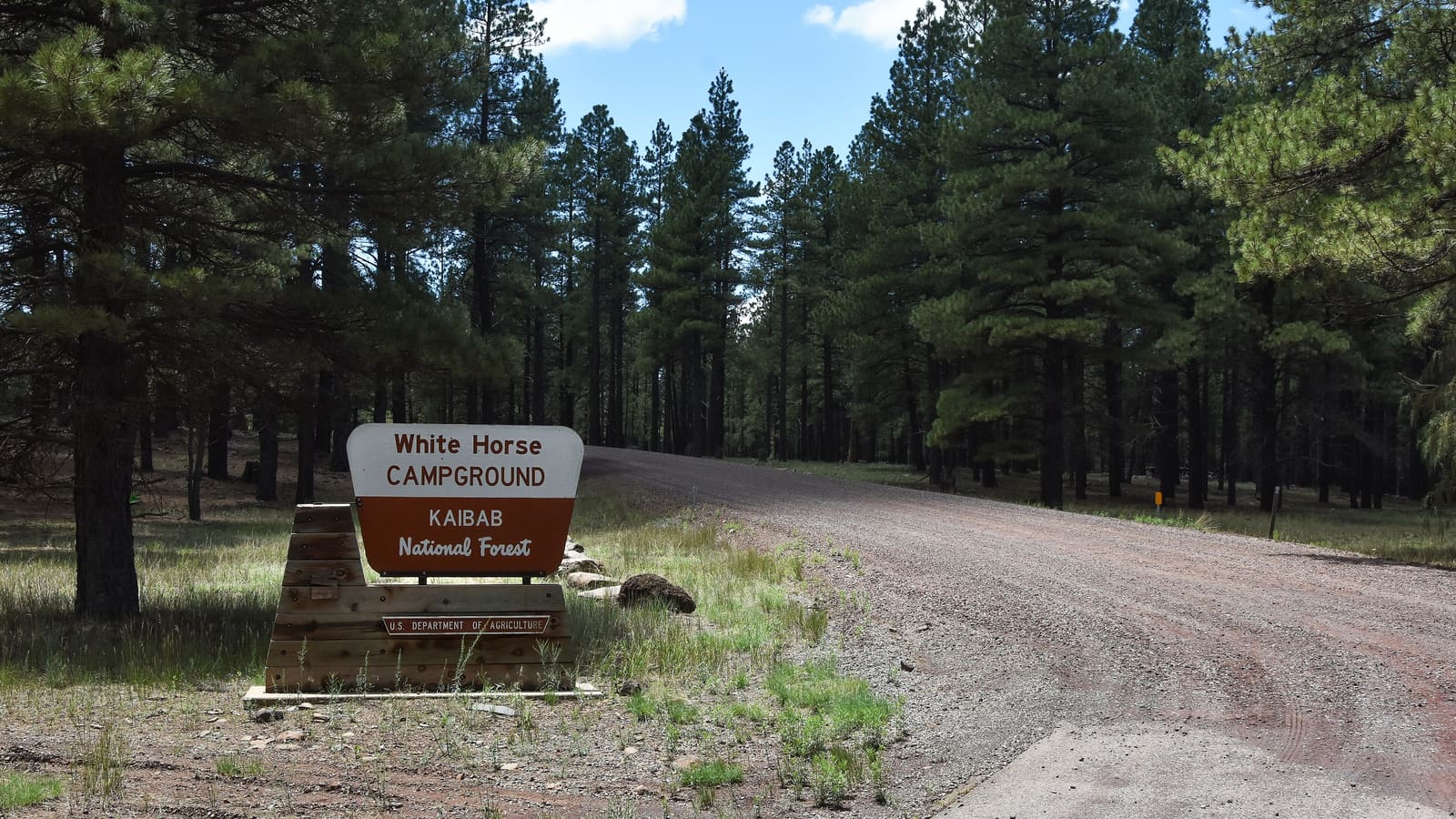The entrance sign for White Horse Campground in the Kaibab National Forest near Williams, Arizona