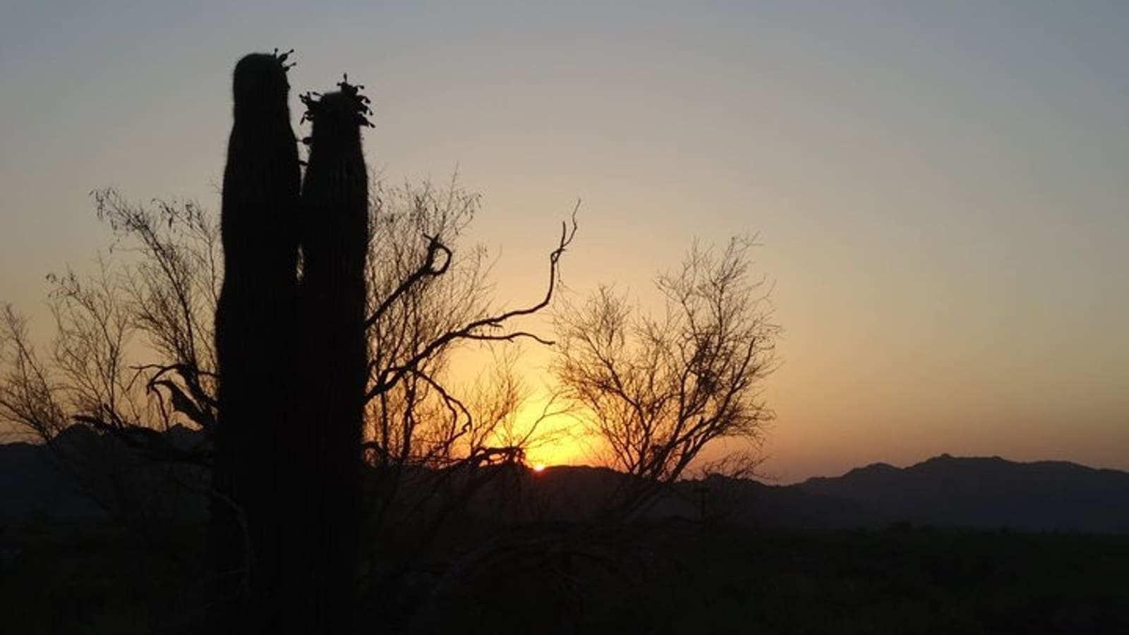 Desert sunset over Imperial National Wildlife Refuge near Martinez Lake, Arizona