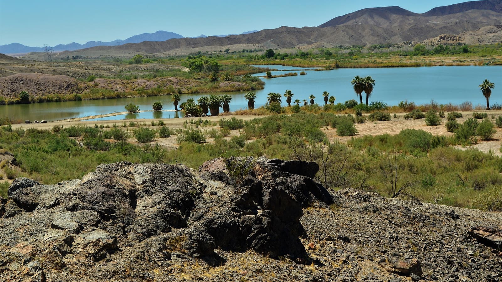 Mittry Lake, a Colorado River backwater north of Yuma, Arizona, seen from a small rise above the shoreline