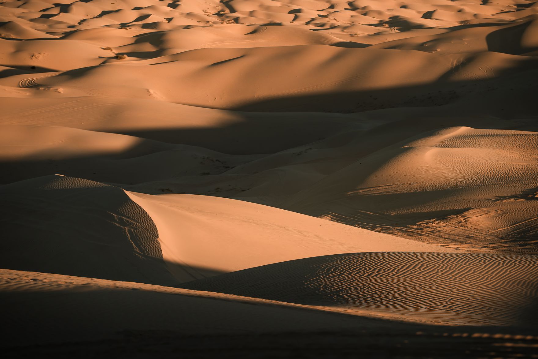 The Imperial Sand Dunes at golden hour, west of Yuma, Arizona